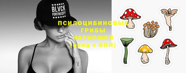 гидропоника Янаул