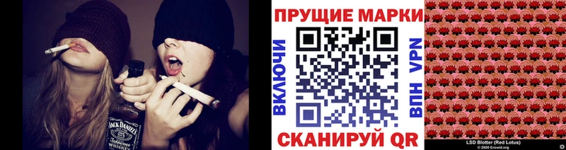купить наркотик  OMG tor  Марки 25I-NBOMe 1,5мг  Каменногорск 