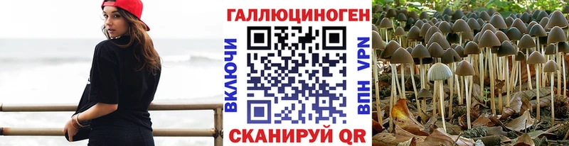 кракен зеркало  хочу наркоту  Каменногорск  Псилоцибиновые грибы Psilocybine cubensis 