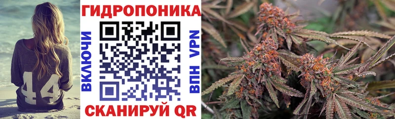 МАРИХУАНА MAZAR  где продают   Каменногорск 